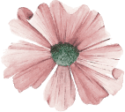 revolution_slider_home4_212312.png