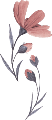 revolution_slider_home4_2342342.png