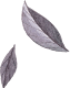 revolution_slider_home4_32342.png